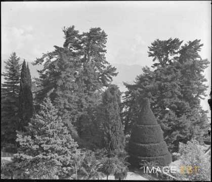 Jardin du palais (Stresa)