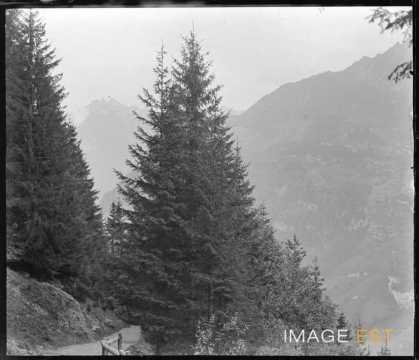 Paysage de montagnes (Berne)