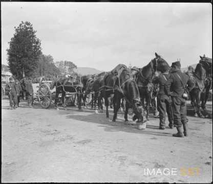 Attelages de pièces d'artillerie (Saizerais)