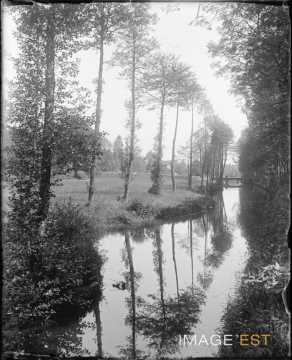 Cours d'eau (Alsace)