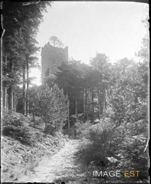 Tour du château (Wangenbourg-Engenthal)