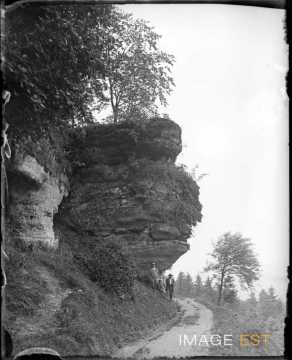 Roche (Alsace)