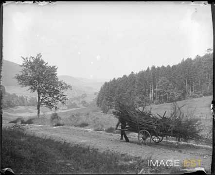 Transport de bois (Alsace)
