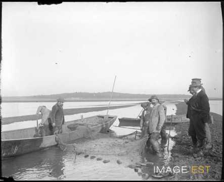 Scène de pêche (Dieuze)