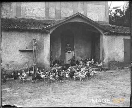 Femme sortant d'un poulailler (Villers-lès-Nancy)