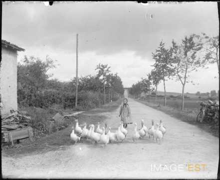 La Seille (Brin-sur-Seille)