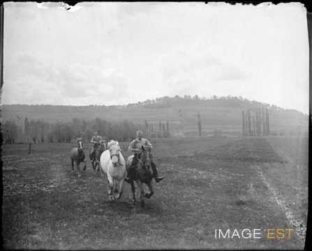 Chevaux de retour de baignade (Dieulouard)