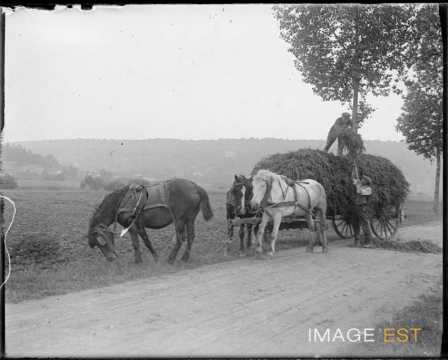 Attelage de chevaux (Lorraine)