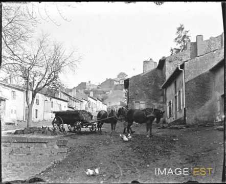 Attelage de chevaux (Bouxières-aux-Dames)