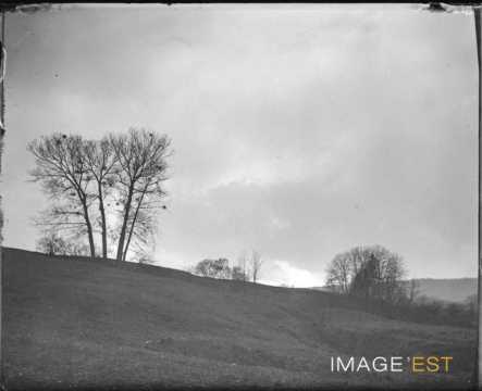 Paysage de campagne (Lorraine)