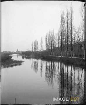 La Meurthe (Saint-Nicolas-de-Port)