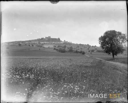 Panorama (Prény)