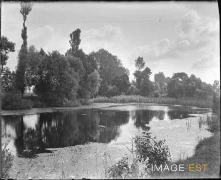 La Moselle (Gondreville)