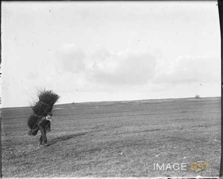 Chaumier (Lorraine)
