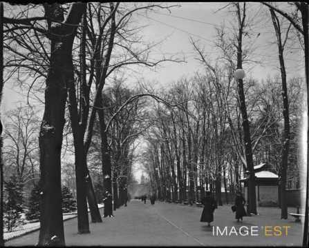 Parc de la Pépinière (Nancy)