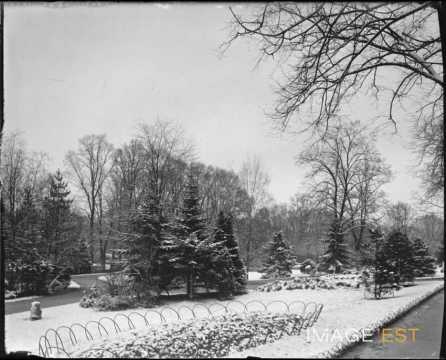 Parc de la Pépinière (Nancy)