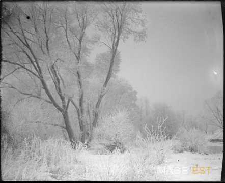 Paysage forestier (Marbache)