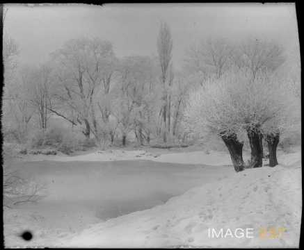 Paysage forestier (Marbache)