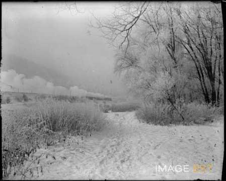 Paysage forestier (Marbache)