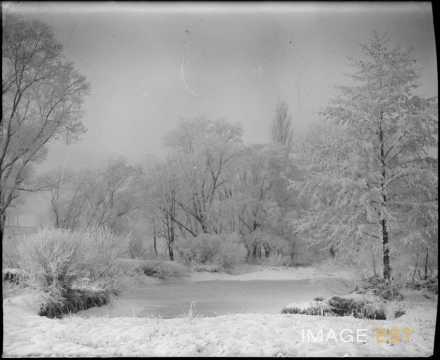 Paysage forestier (Marbache)