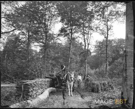 Transport de bois (Lorraine)