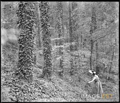 Femme dans les bois (Eulmont)