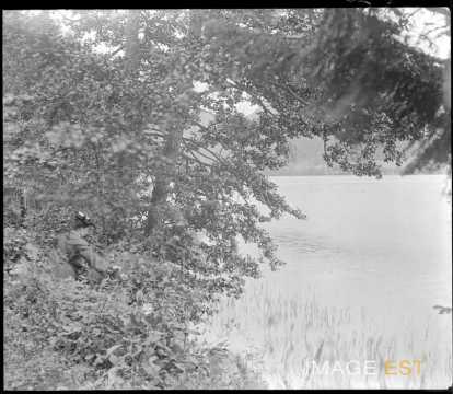 Femme au bord du lac de Longemer (Xonrupt-Longemer)