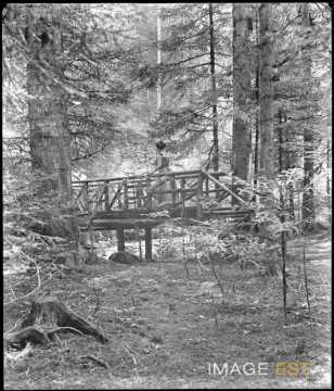 Femme sur un pont (Gérardmer)