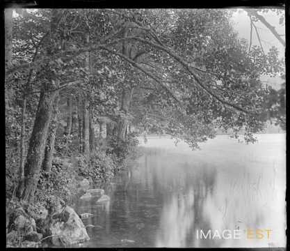 Rives du lac de Longemer (Xonrupt-Longemer)