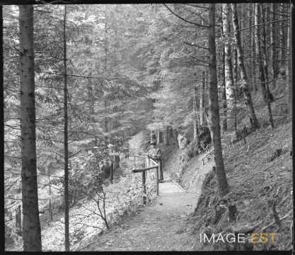 Femme sur un chemin forestier (Plainfaing)
