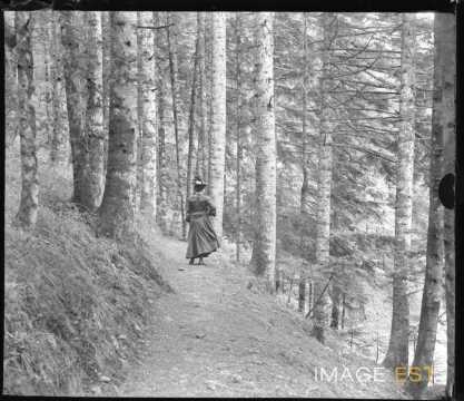 Femme sur un chemin forestier (Plainfaing)