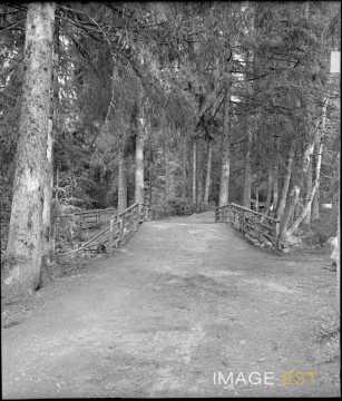 Pont de la Demoiselle de Kichompré (Gérardmer)