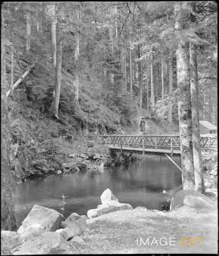 Pont Marie-Louise (Gérardmer)