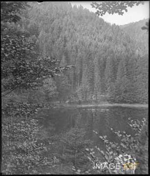 Rives du lac de Retournemer (Xonrupt-Longemer)