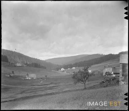 Paysage du Grand Valtin (Xonrupt-Longemer)