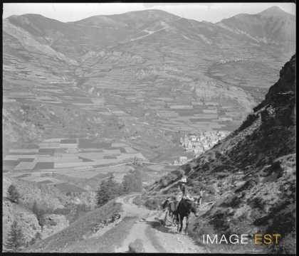Femme sur un mulet (La Grave)
