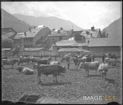 Marché aux bestiaux (Moûtiers)