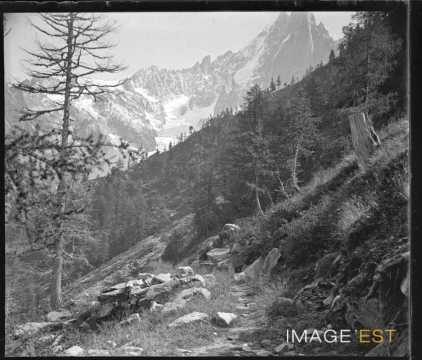 Aiguille du Dru (Chamonix-Mont-Blanc)