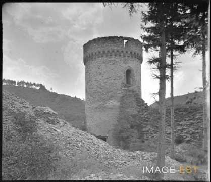 Tour du château (Beaufort)