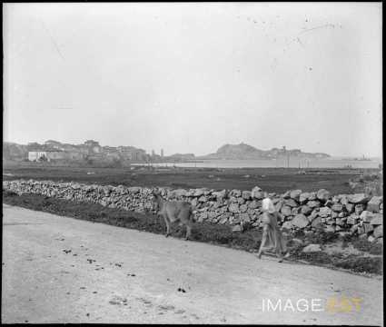 Femme et âne sur une route (L'Île-Rousse)