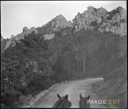 Attelage dans les calanques (Piana)