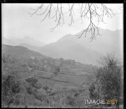 Panorama (Vico)