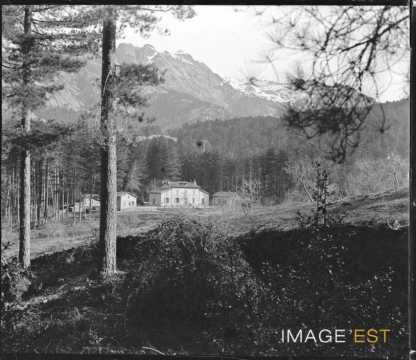 Habitation forestière (Evisa)