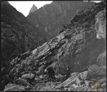 Homme dans les gorges de Spelunca (Evisa)