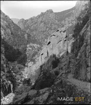 Gorges de Spelunca (Evisa)