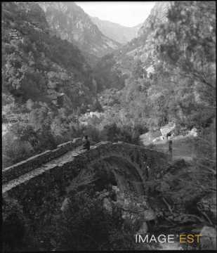 Michels sur le pont de Pianella (Ota)