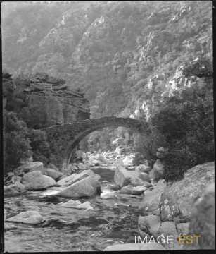 Pont du Torrent de Porto (Evisa)