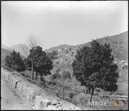 Panorama (Cristinacce)