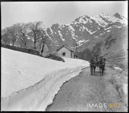 Attelage sur une route (Corse)