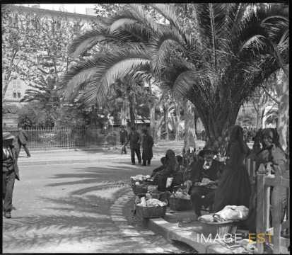 Femmes au marché (Ajaccio)